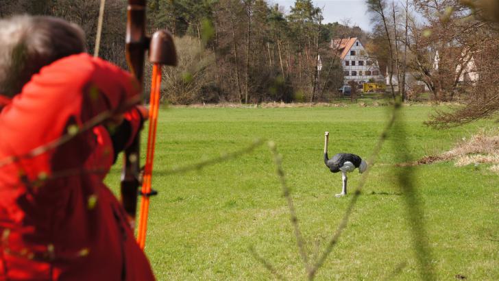 Bogenschützen